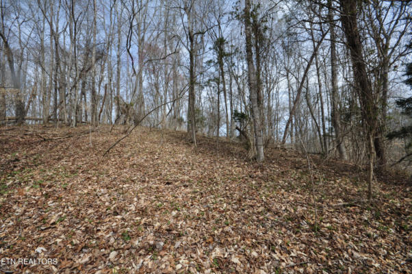 10.02 ACRE OLD TAZEWELL PIKE, LUTTRELL, TN 37779, photo 4 of 6