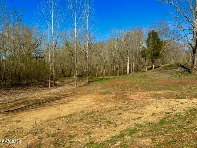 RANDOLPH MILL RD RD, COOKEVILLE, TN 38501, photo 1 of 4