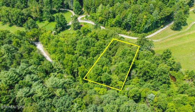 13677 NEW HIGHWAY 68, TELLICO PLAINS, TN 37385 - Image 1